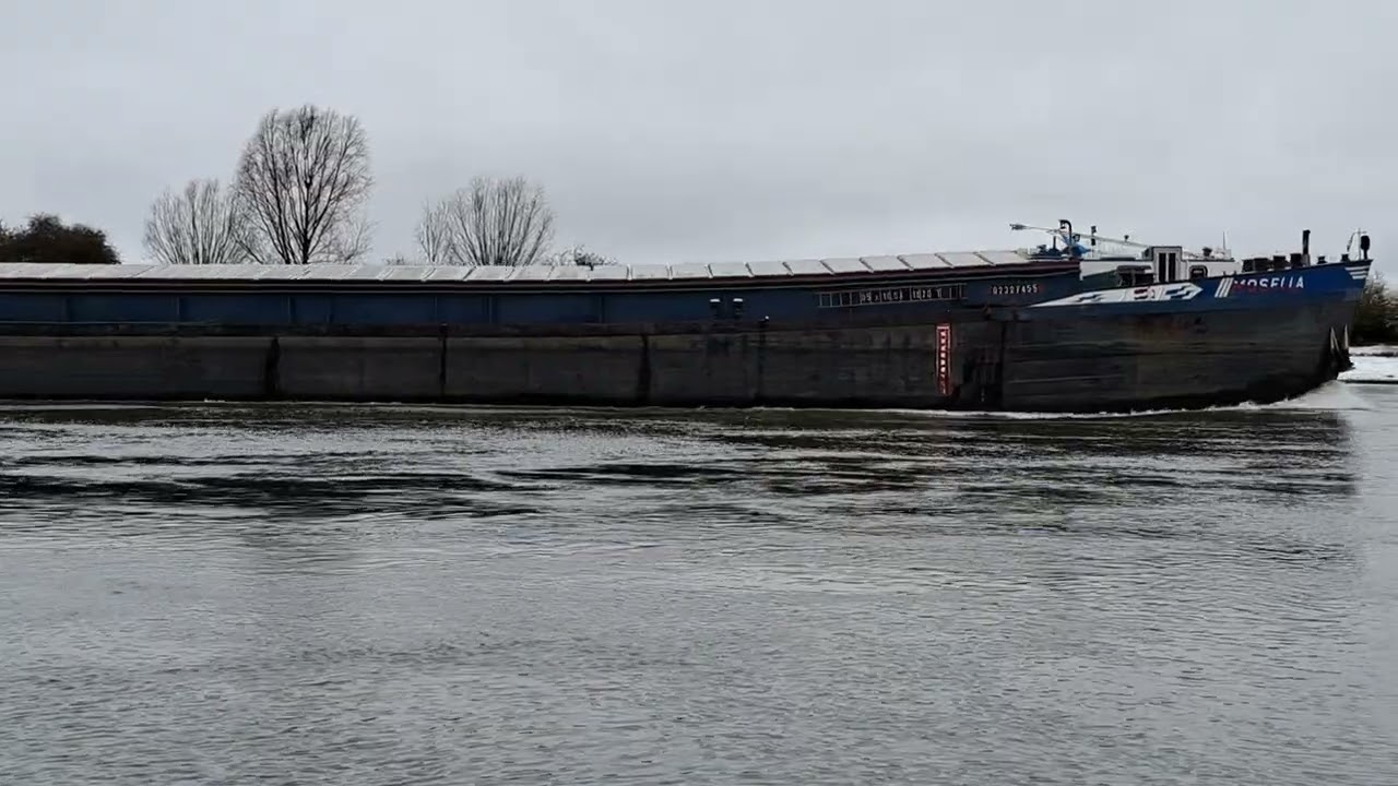 20260103 ms Mossela op de IJssel bij Gorssel