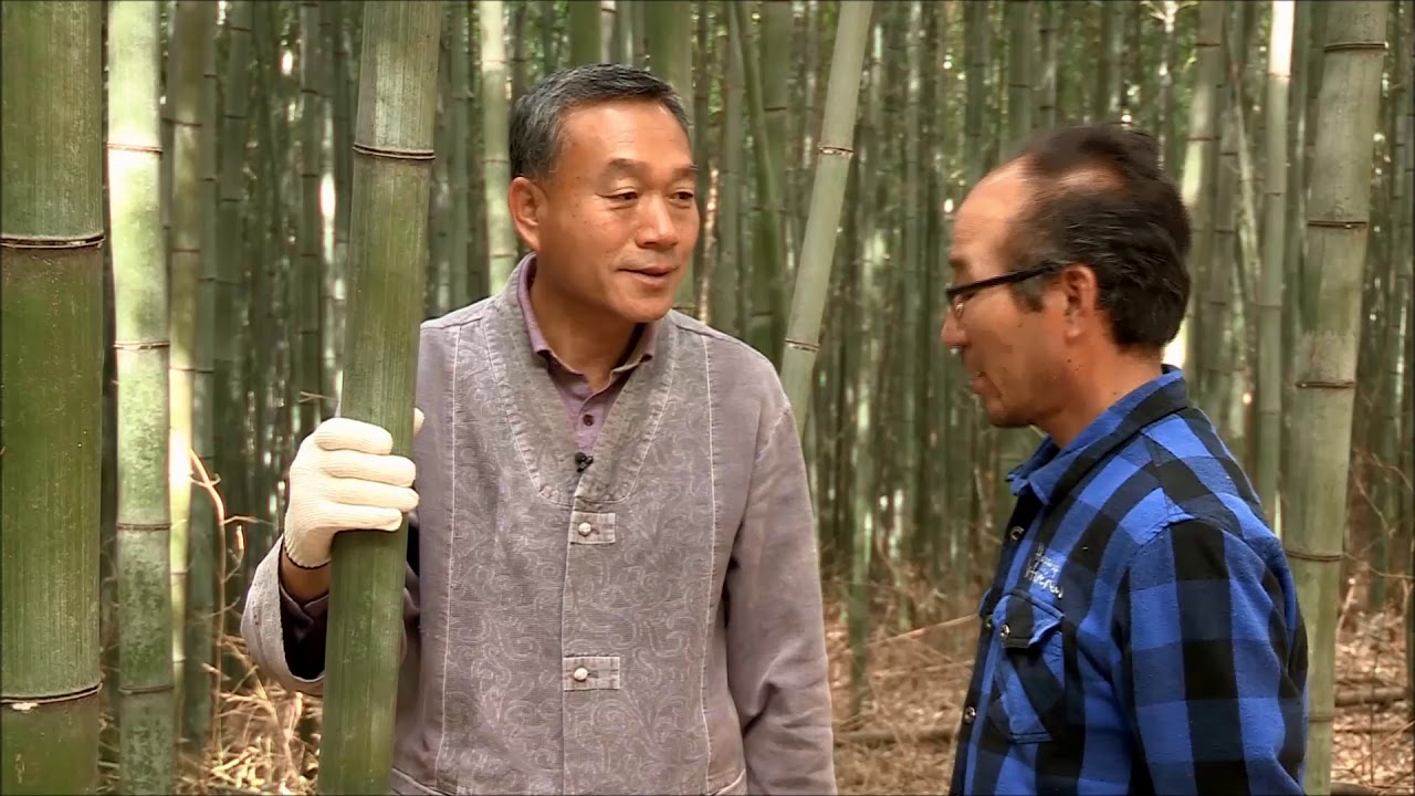The Making Process of Sambou Bamboo Salt