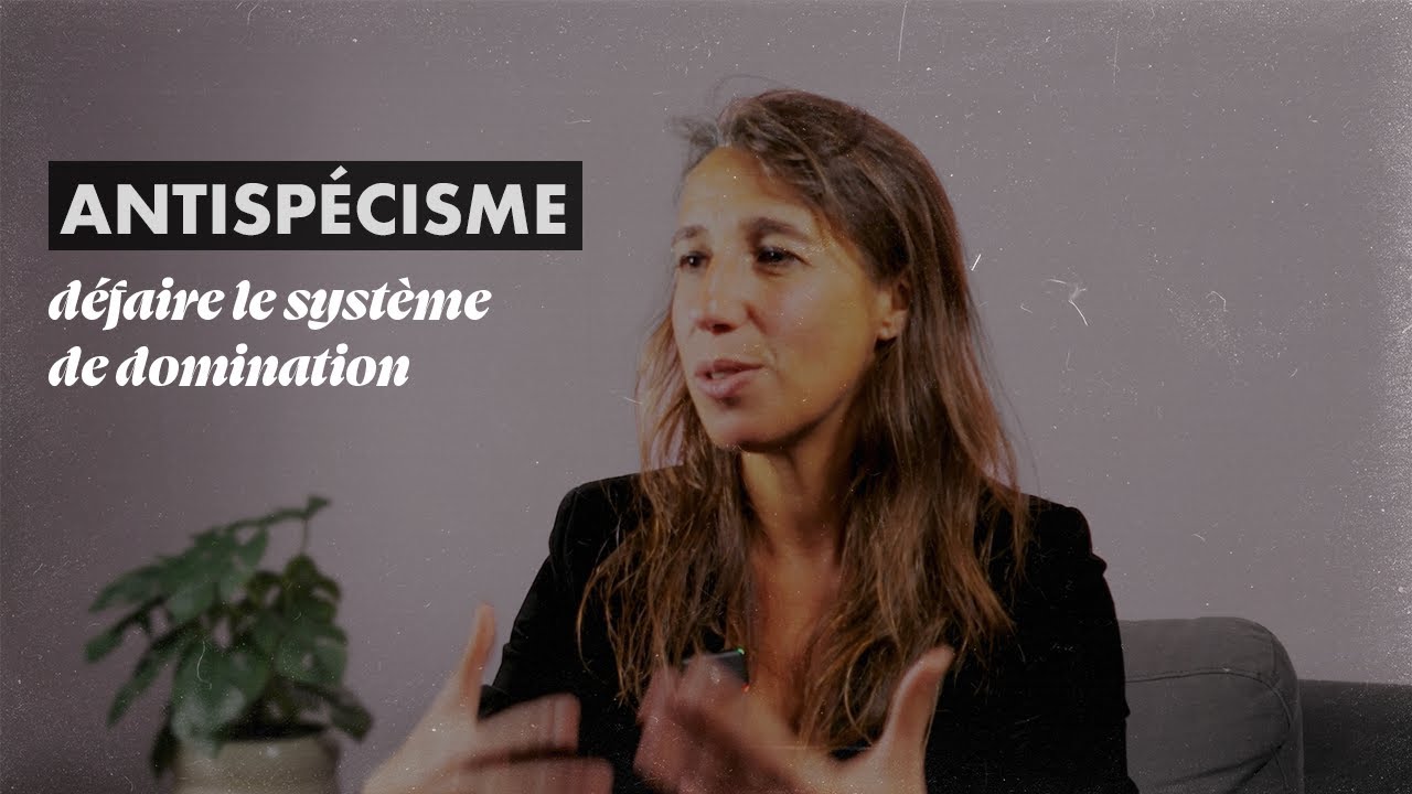 Réjane Sénac : « Il y a une continuité entre toutes les formes de discrimination »