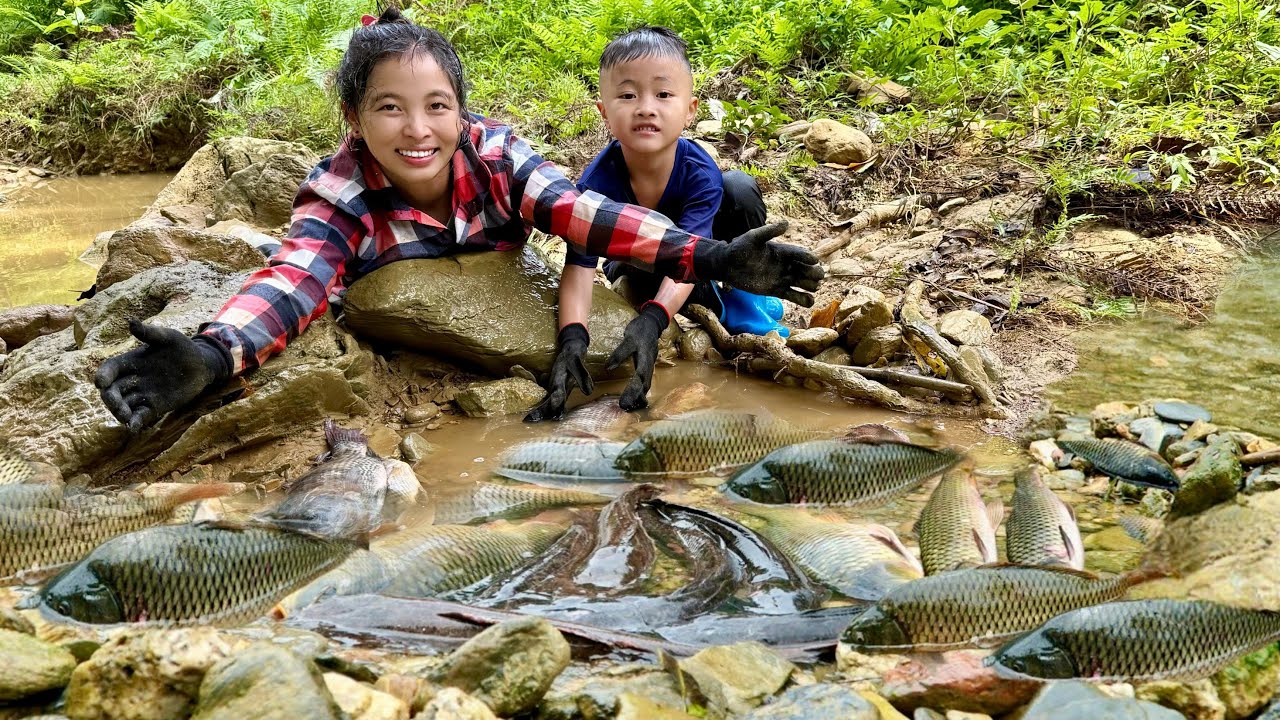 Meet the giant fish - catch and trap fish on a beautiful day - stream fish sell very well