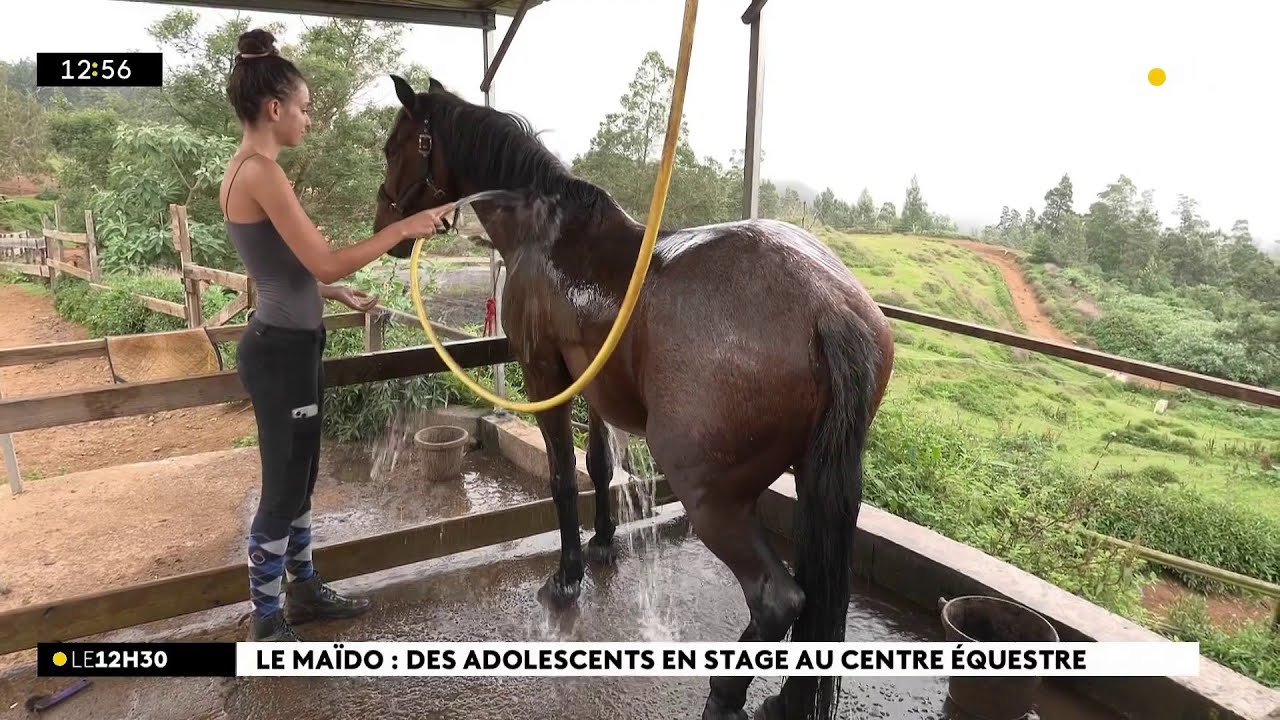 Au Maïdo, ces adolescents mordus de cheval profitent des vacances