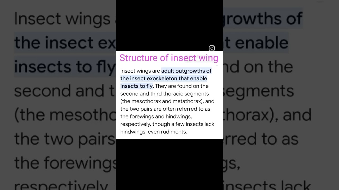 structure of insect wing#entomology #insects #agriculture #@virdi science