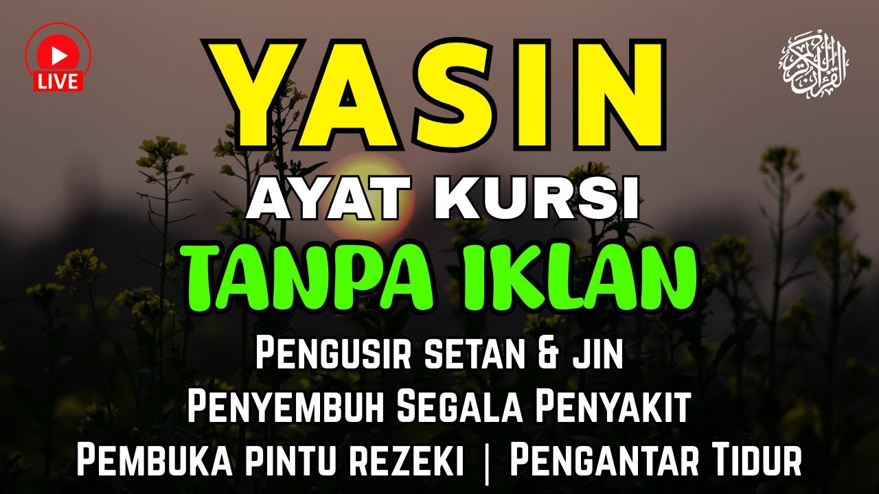 Surah Yasin & Ayat Kursi Pengusir Setan dan Penyembuh Segala Macam Penyakit | Alaa Aqel