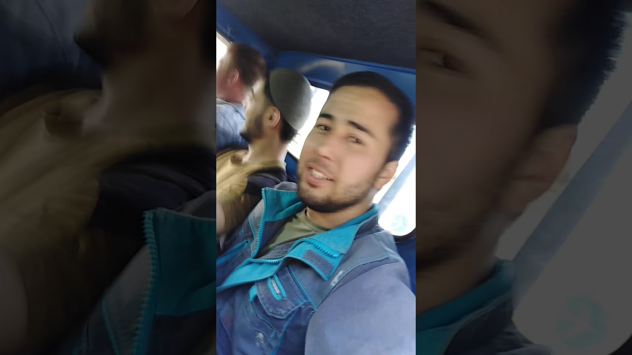 Магадан сокол
