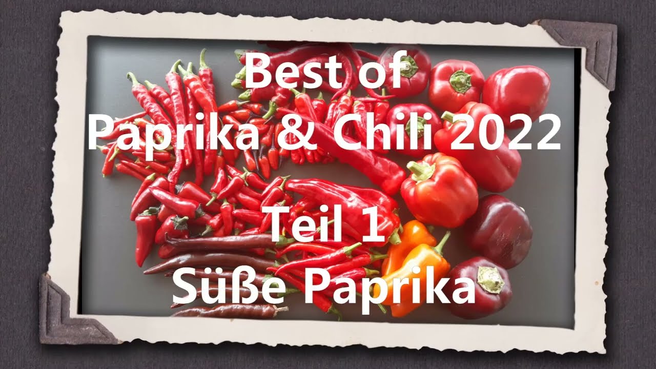 Best of Paprika & Chili 2022 Teil 1 - Süße Paprika
