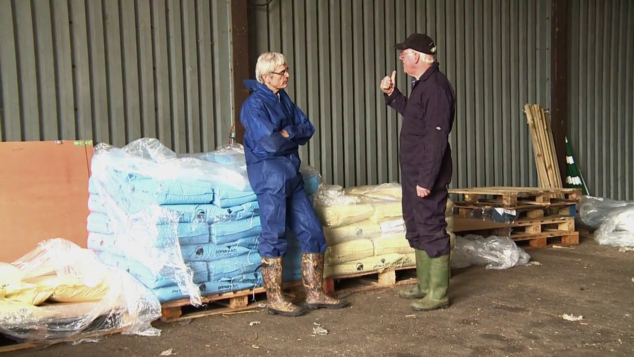 Feed and Water: Organising Pig Feed Deliveries | AHDB