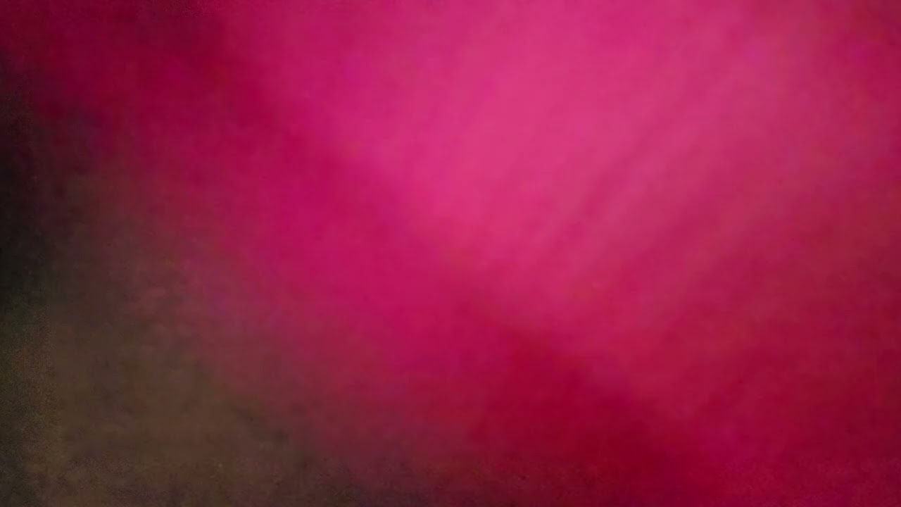Dexter is Lonely