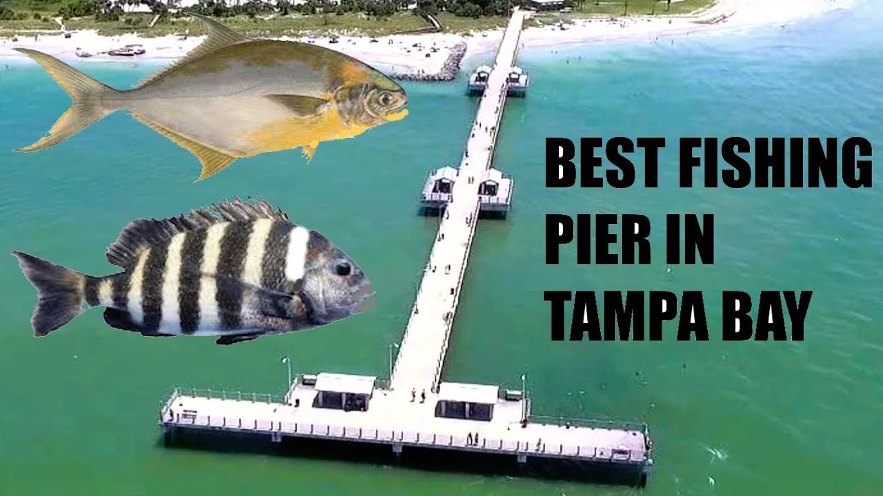 Fishing the best Pier in Tampa Bay To Catch Dinner