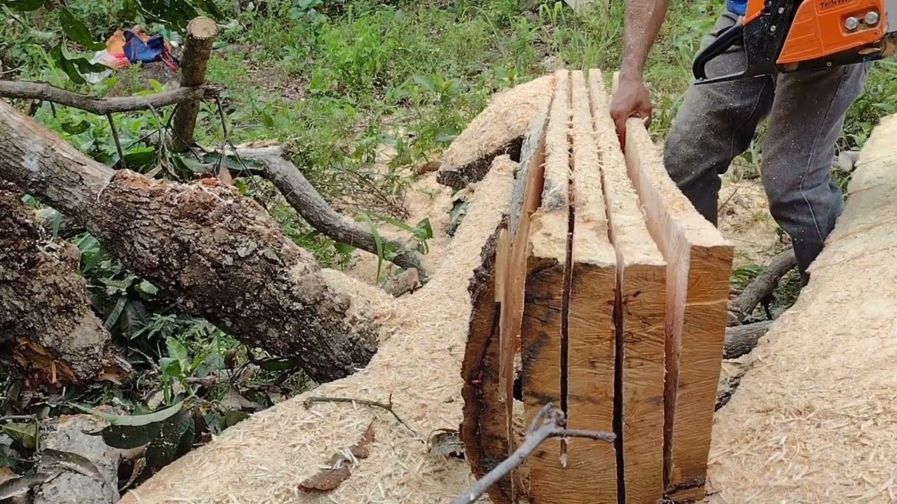 tirando tábuas com a motosserra tekna 72cc