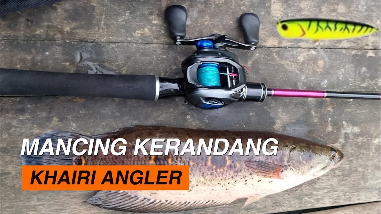 Awas meledak 🔥Sambaran hebat ikan predator/lure hinomiya  thunder pencil 9 cm/ Shimano SLX XT 151 HG