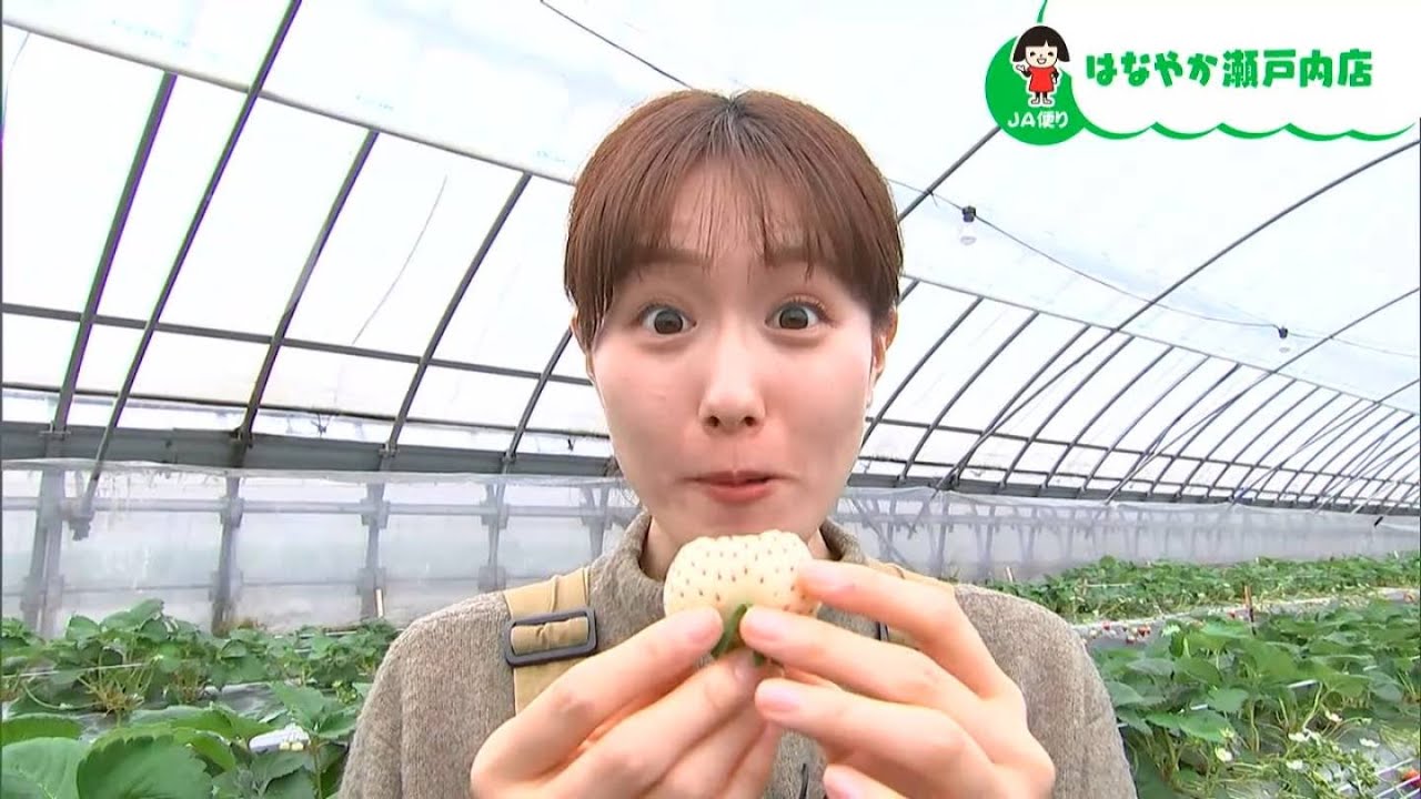 イチゴなのにパインや梨のような味が！白いイチゴ「白蜜香」｜【笑味ちゃん天気予報】2024年2月23日放送