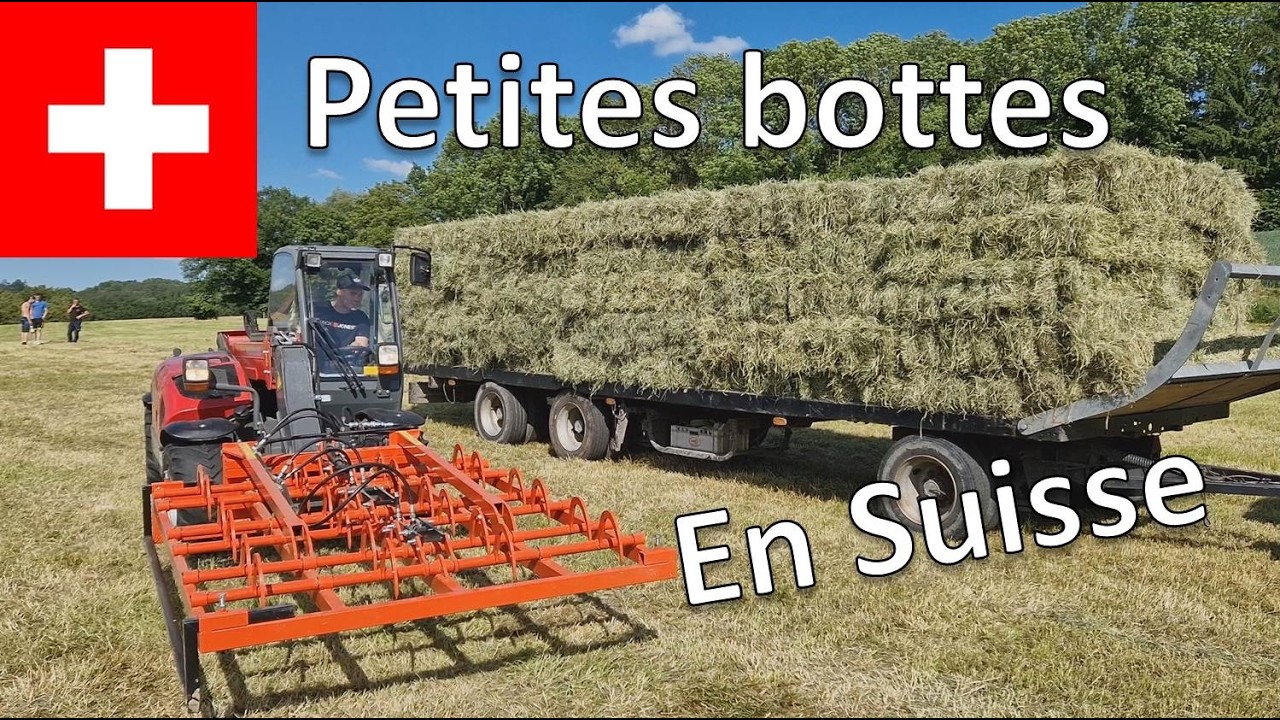 Pressage, Ramassage & Déchargement des petites bottes en Suisse  [ Vlog épisode 3 ]