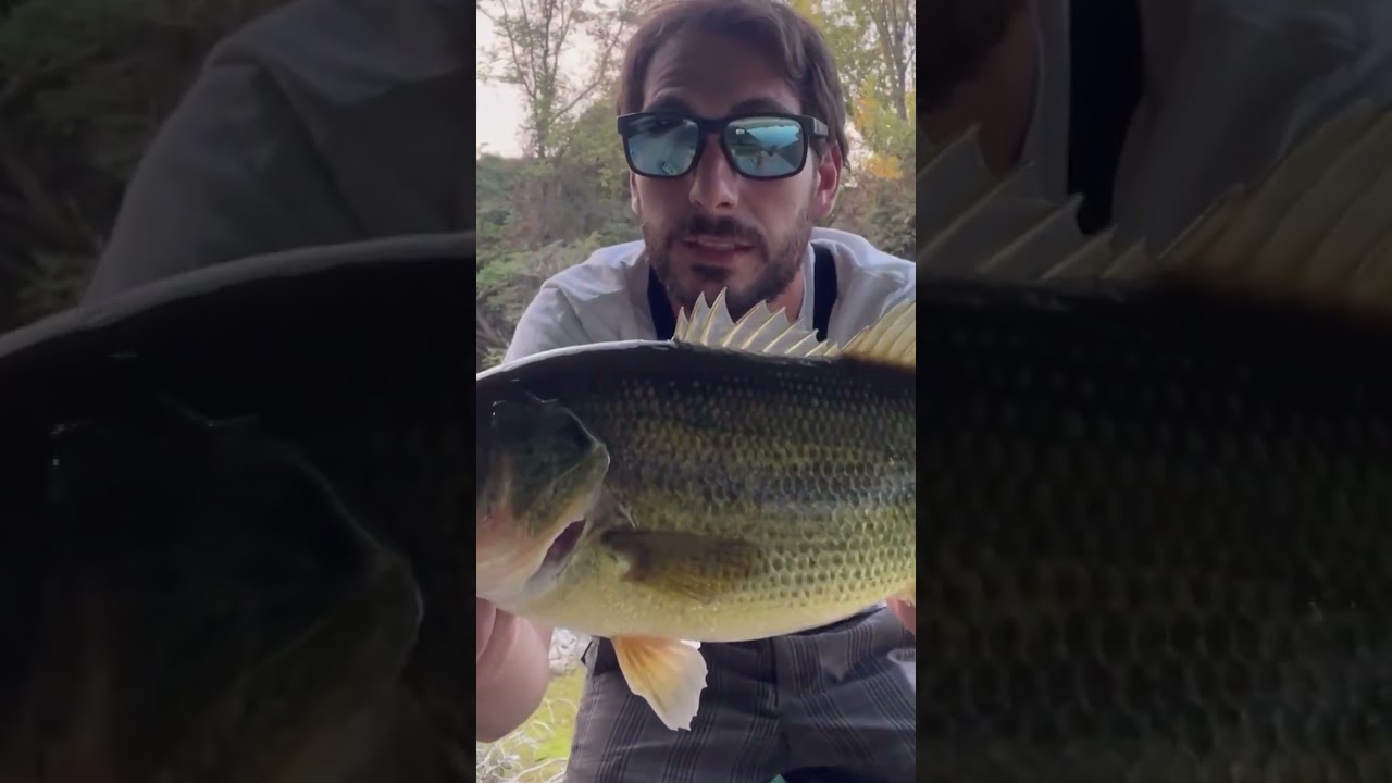 BIG BASS on the WHOPPER PLOPPER!!! URBAN TOPWATER Fishing Spot #fishingspot #urbanfishing #topwater