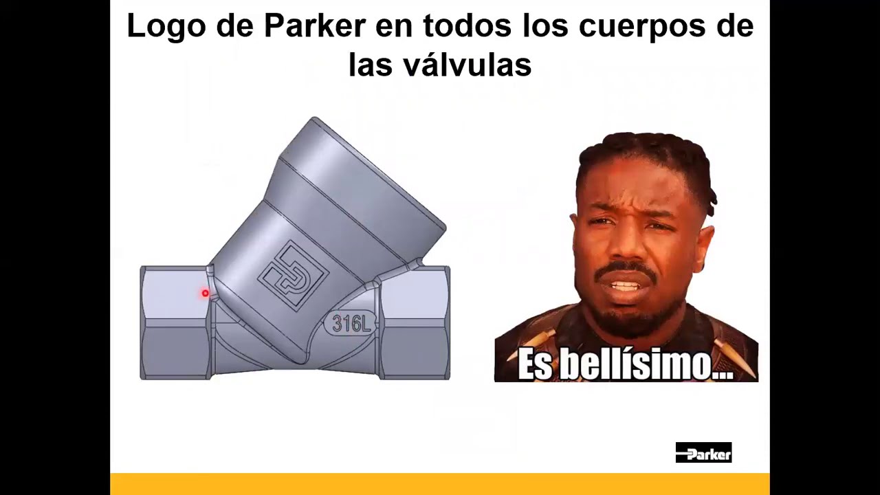 Váluvlas Angulares PA de Parker