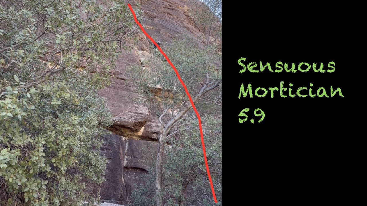 Sensuous Mortician 5.9