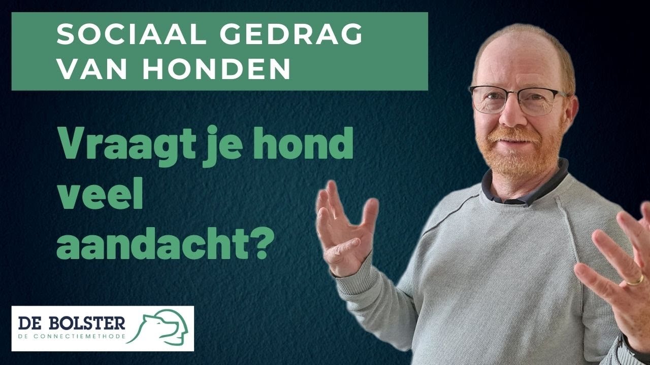 Omgaan met aandacht vragend gedrag van je hond