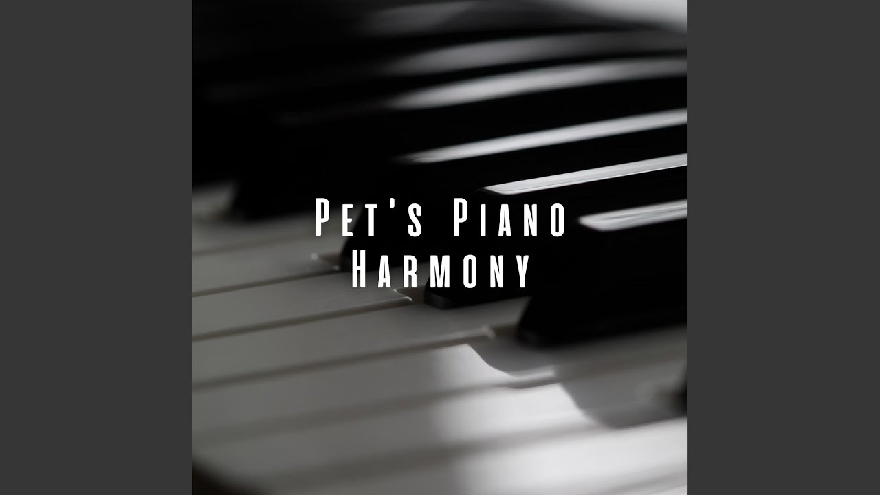 Purrfect Piano Sounds