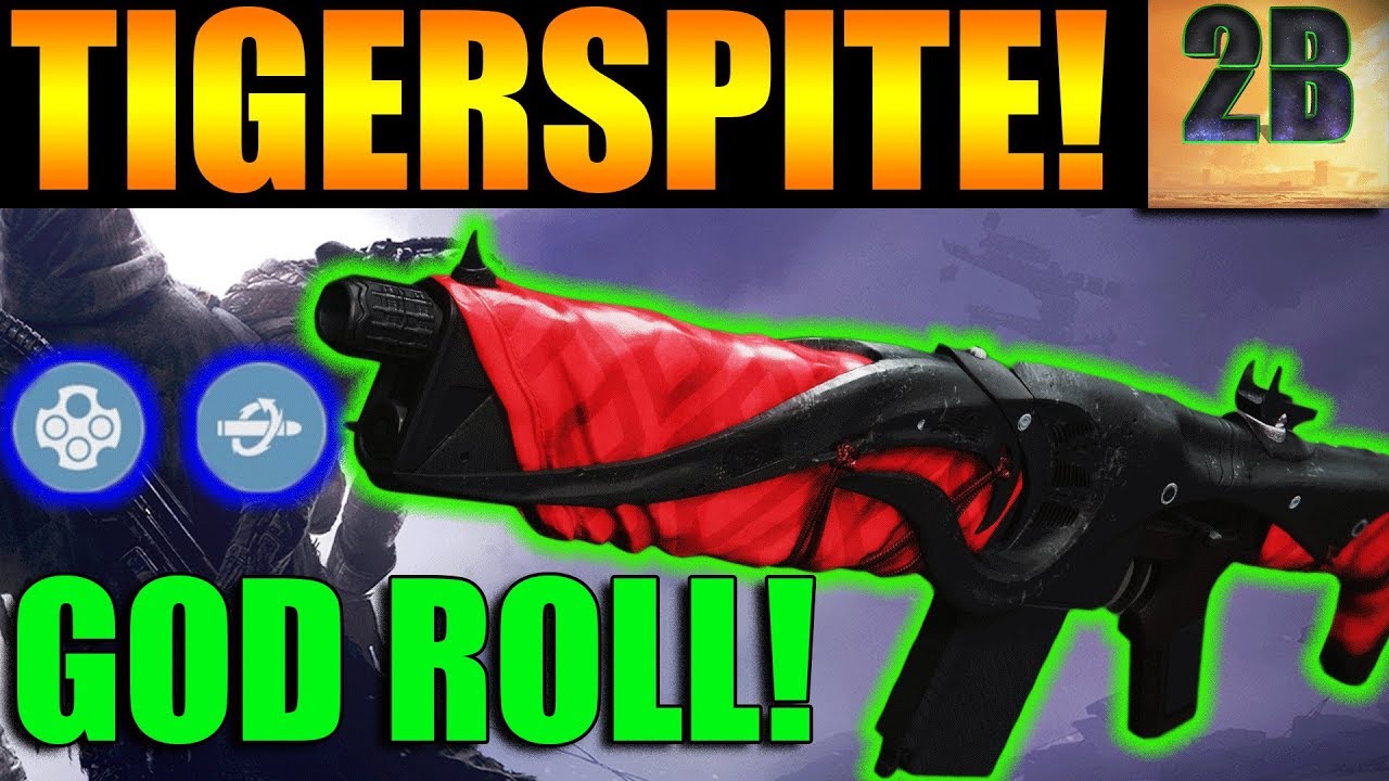Destiny 2 | GOD ROLL Tigerspite Dreaming City Auto Rifle PvP Gameplay Review | Forsaken DLC