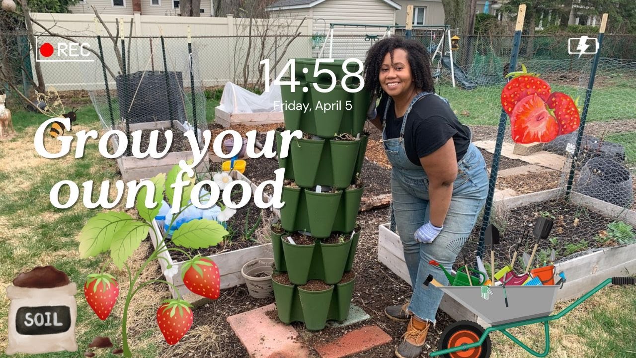 Plant Strawberries With Me 🍓 Growing Bareroot Berries in My GreenStalk Planter (and Saving Money!)