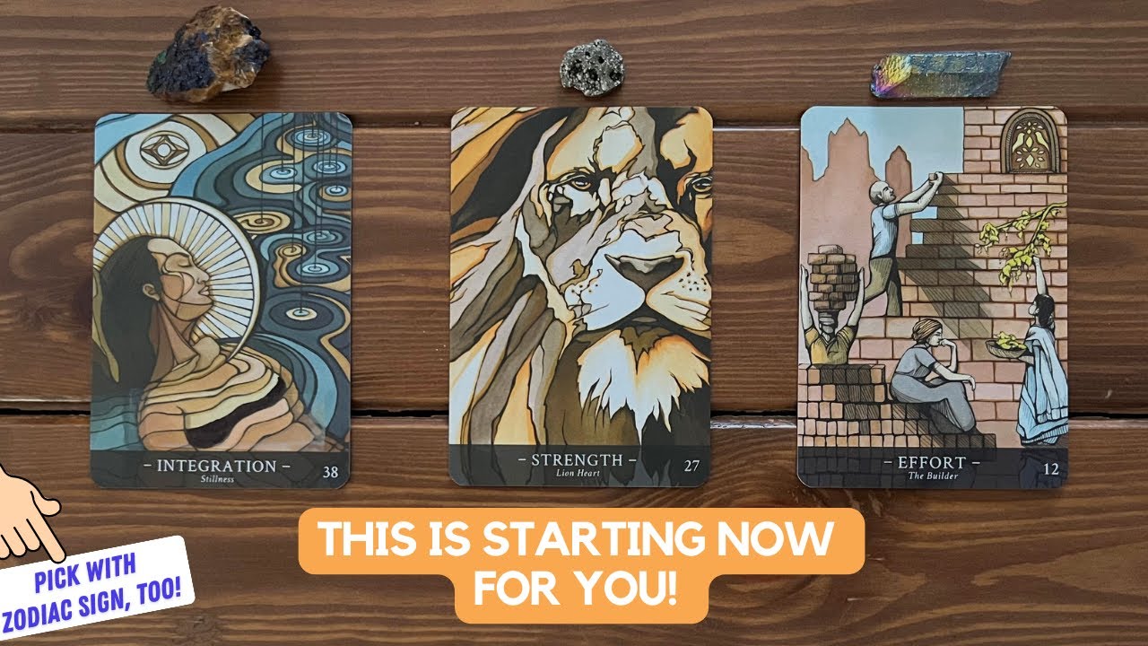 This Is Starting Now For You! | Timeless Reading