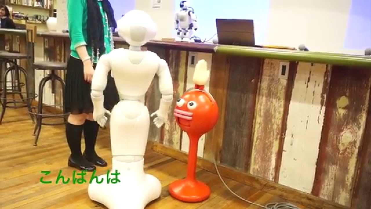 【抱腹絶倒】ロボット2体と人間との奇妙で愉快な会話 ペッパーとパルミー talking robots pepper and palmi