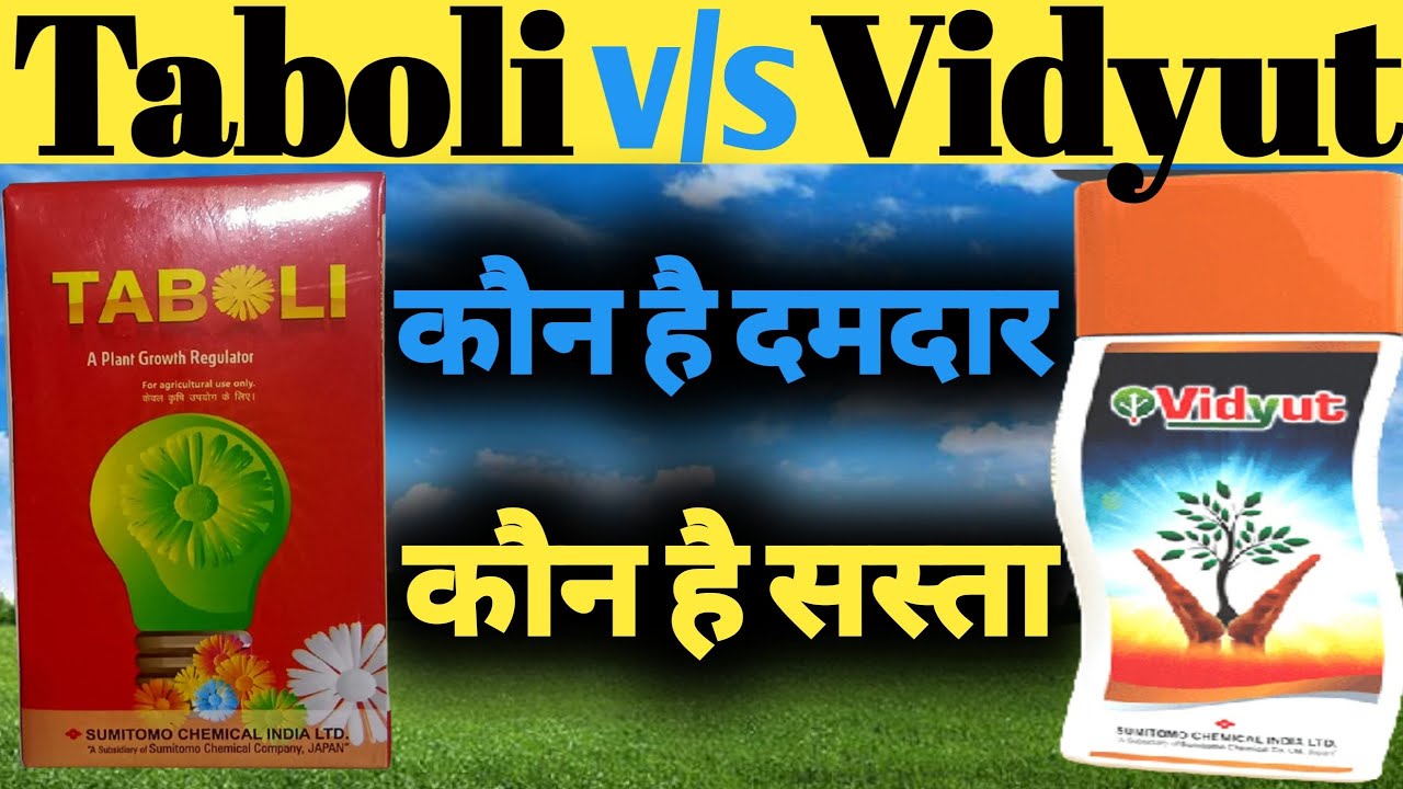 Taboli Sumitomo vs Vidyut Excel।। टाबोली सुमिटोमो और विद्युत एक्सेल।।Bajrang Beej Bhandar।।