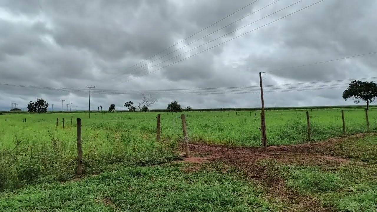Tirando  dúvida arrespeito do sitio que está disponível para quem quiser.entra na atividade leiteira