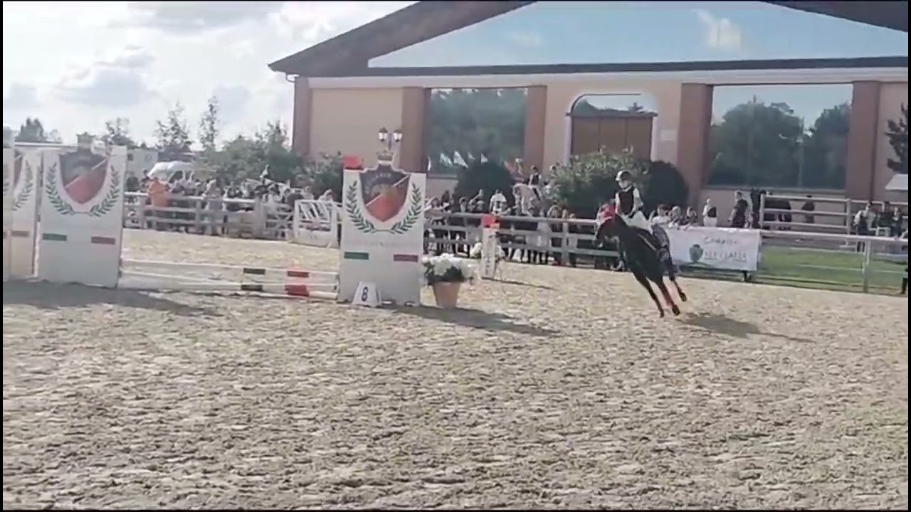 La Gara Di Ieri Bravissima La Negry 50 Cm❤️❤️❤️❤️❤️(14esime)