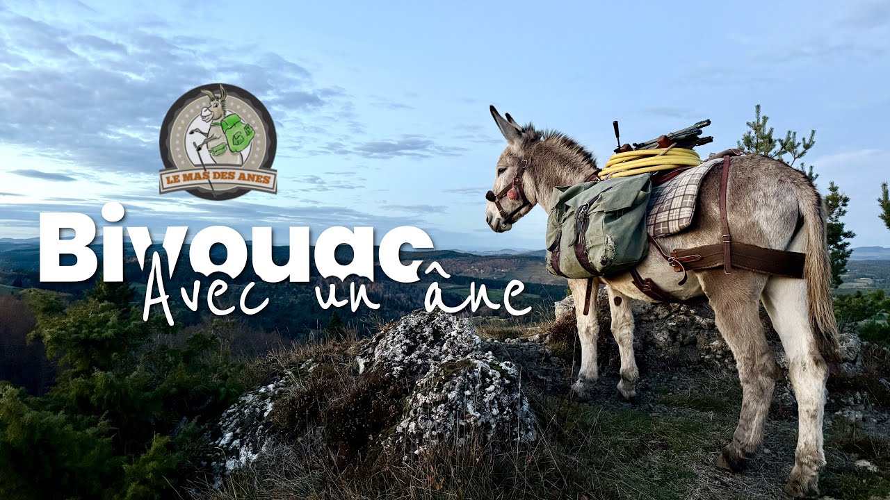 Bivouac avec un âne en Ardèche, depuis le Mas des Ânes à Le Pagnal.