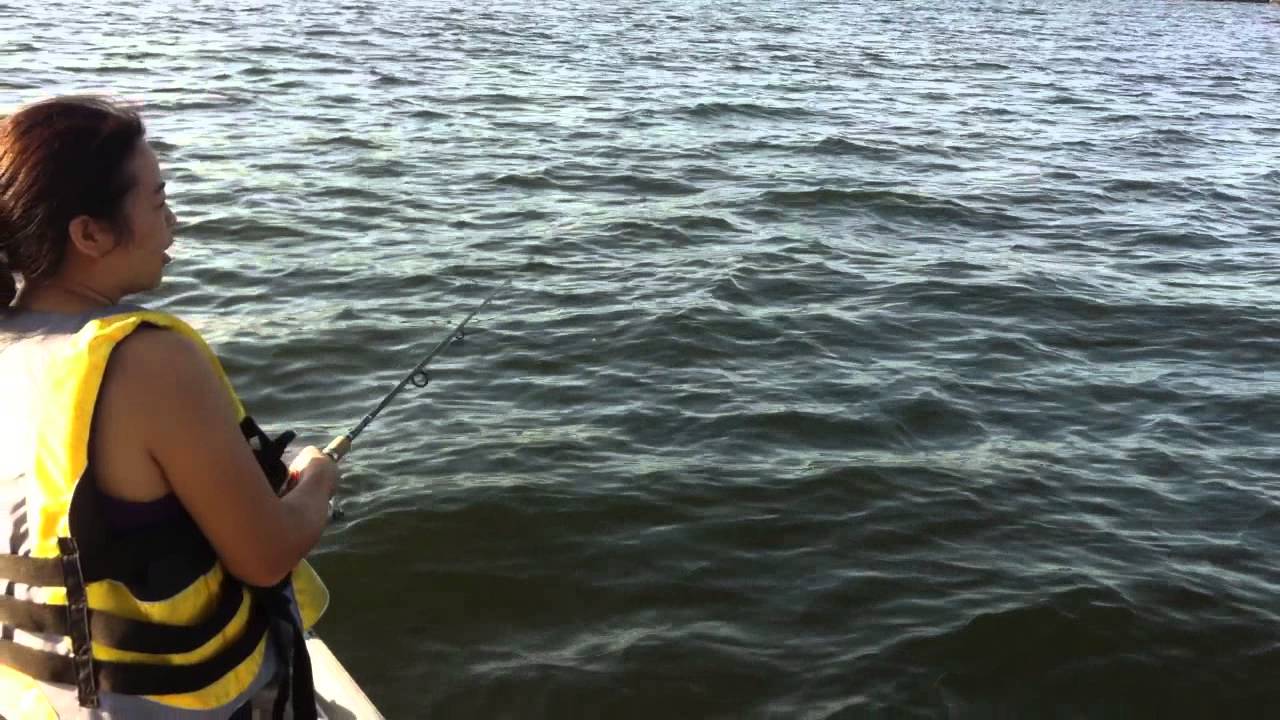 Mus nuv ntses dawb (Scup fishing 2014)
