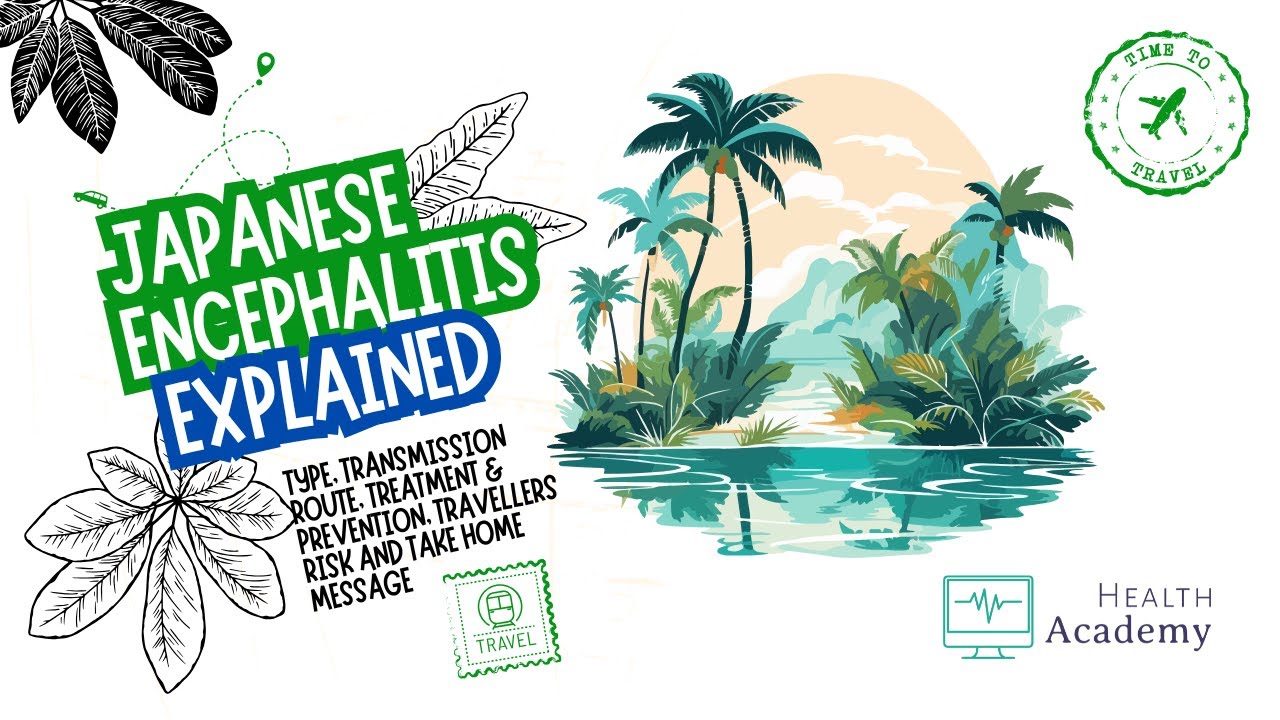 Japanese Encephalitis Explained