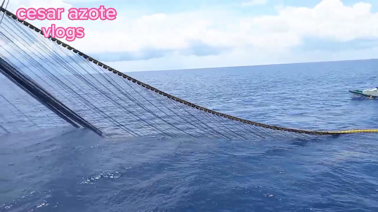 full video 2nd net setting catch fresh yellowpin tuna.total 108 m/tons.