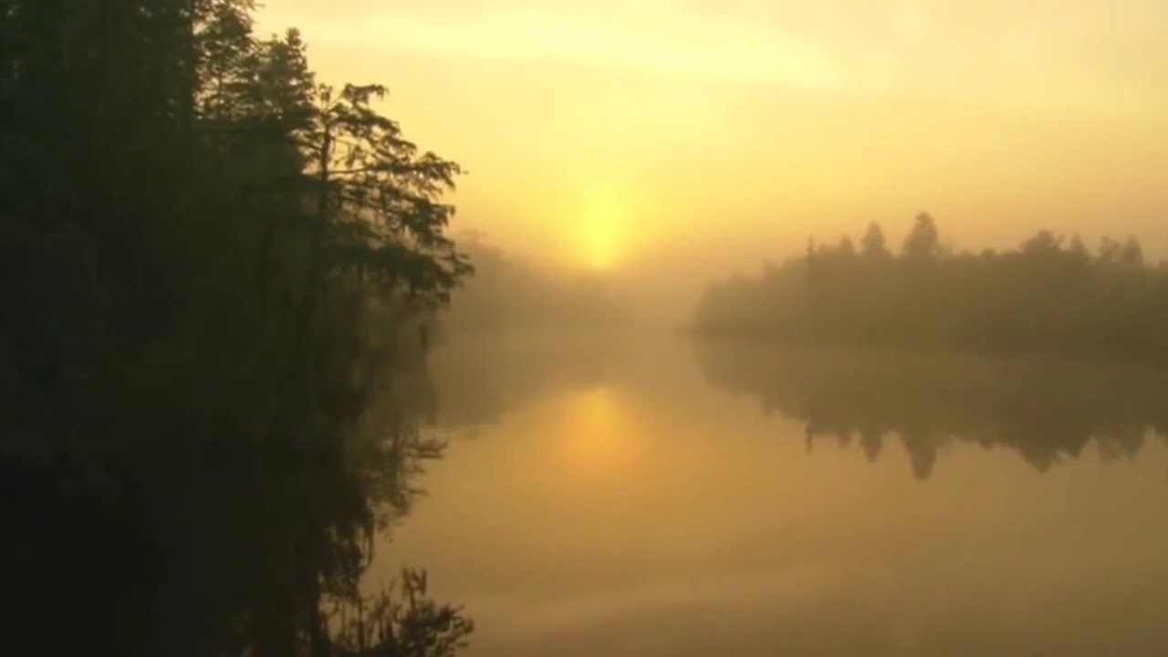 Shea McGilvray - Delta Royal
