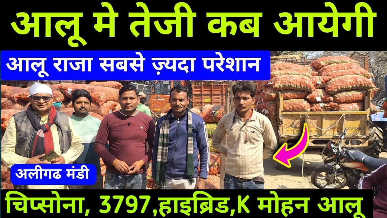 26 February 2026 💥 हाइब्रिड आलू ने किसानो को नुकसान किया | अलीगढ मंडी भाव | aalu ka rate today|aalu 