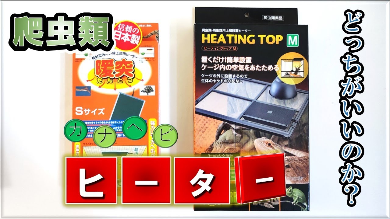 カナヘビの冬。暖突とヒーティングトップの比較！