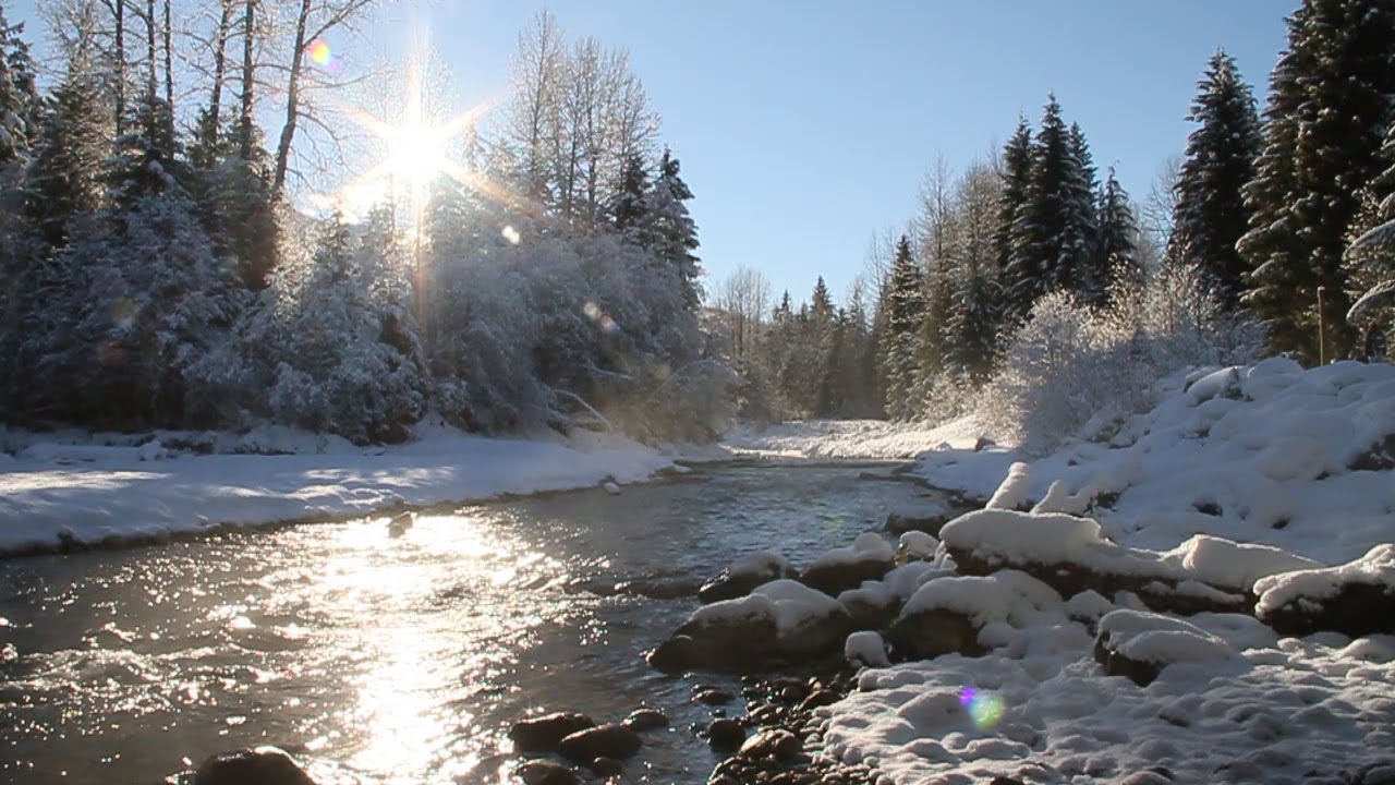 D&eacute;tendez-vous Avec les Sons de la Nature - Rivi&egrave;re et les Oiseaux