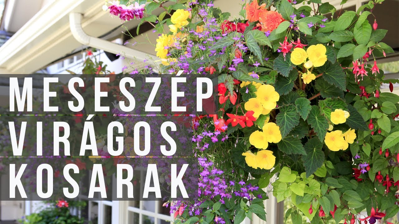 Így készíts különleges nyári virágládát - tippek, trükkök a tartós virágpompáért