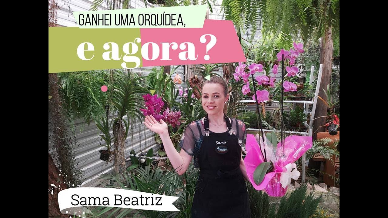 Ganhei uma orquídea, e agora?