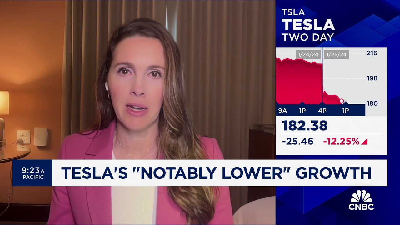 Tesla is 'dead money' for next few months, but I'm still bullish long-term, says Bryn Talkington