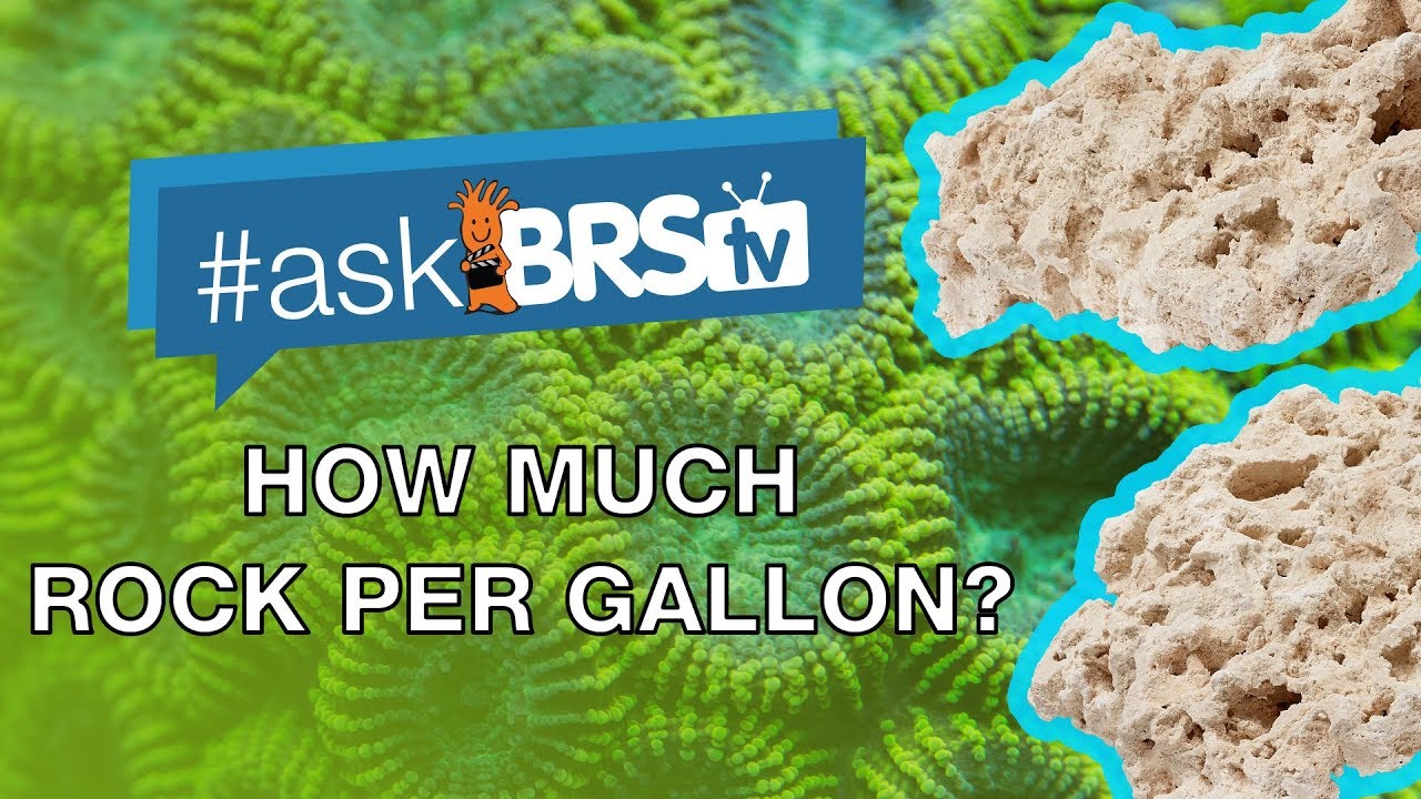 How much rock do I need for my tank using Reef Saver rock per gallon? | 