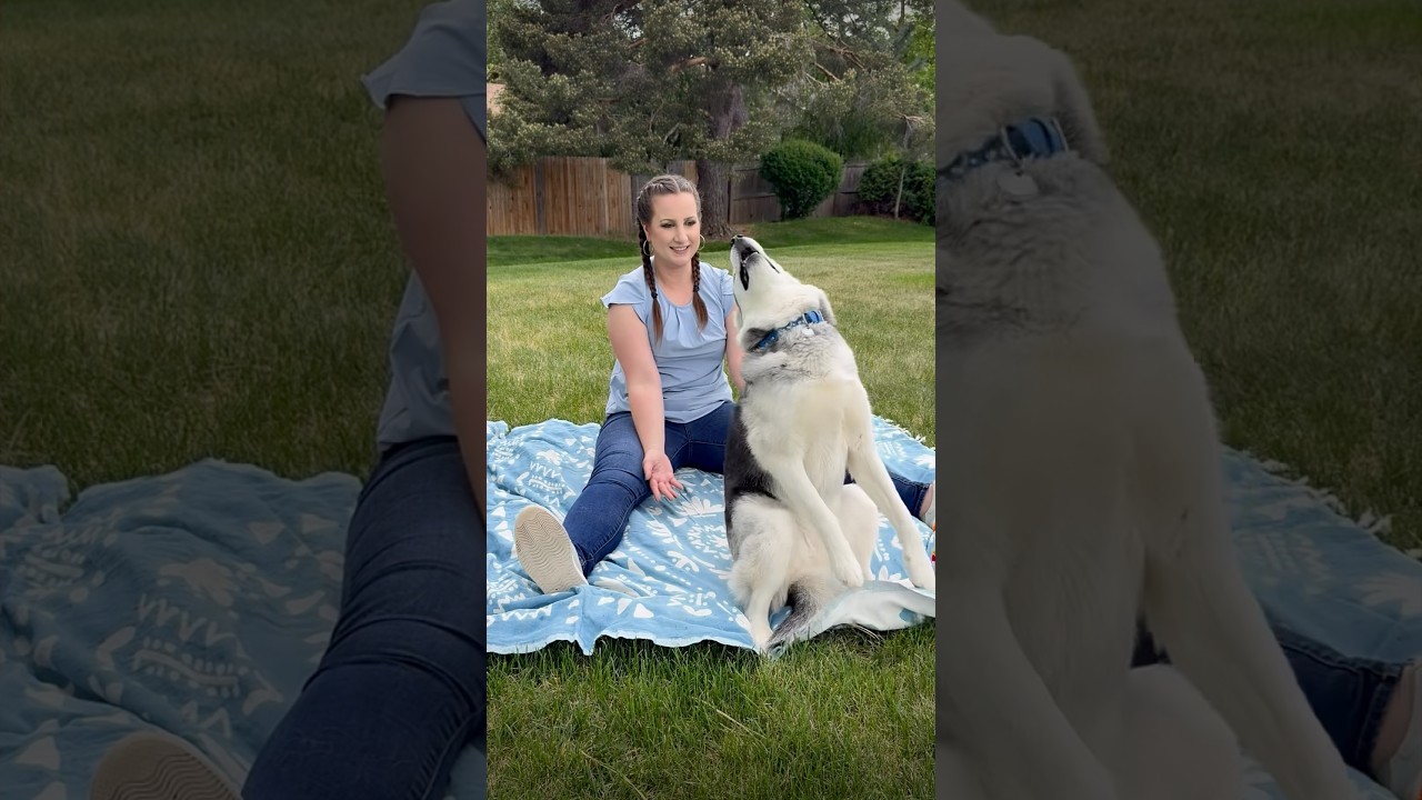 Caught in the TRUST zone! Does your dog trust you this much? 
