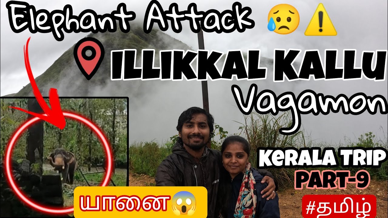 🐘Elephant Attack😱|Kerala Trip Part-9💥|🤩Illikkal Kallu Vagamon |Couple Vlog 💓#bike #tamil #sanandsonu