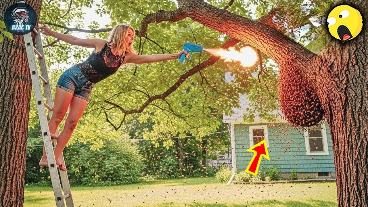 TOTAL IDIOTS AT WORK | Instant Regret Fails Compilation 2026 #259 | Best Fails of the Week
