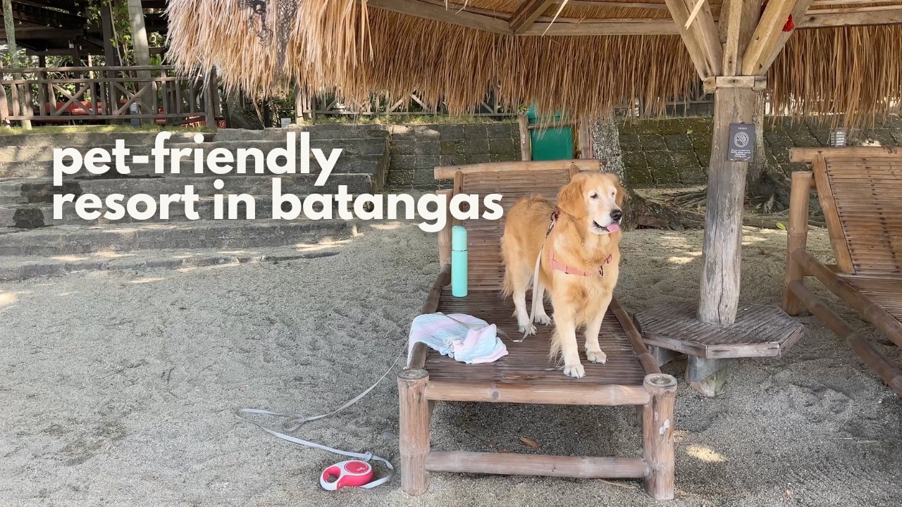 quick staycation in this pet-friendly resort in laiya☀️