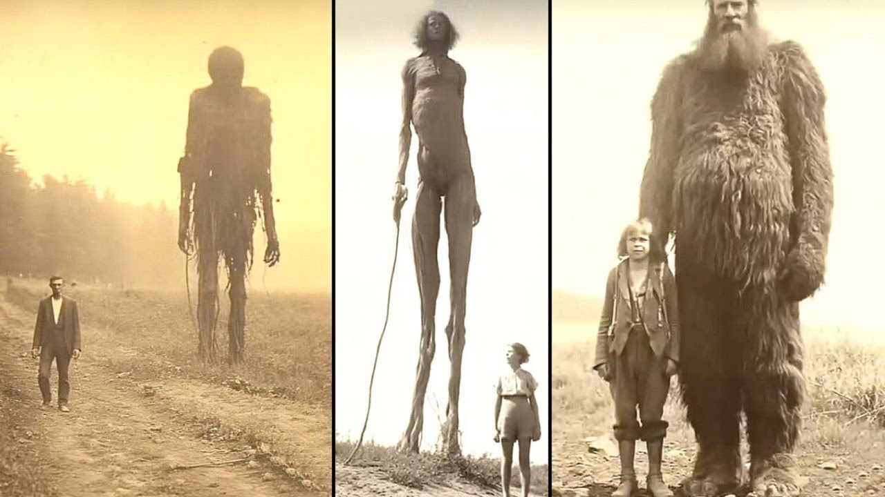 Se Extinguieron Hace 100 Años! 20 Personas Gigantes Que Realmente Existieron