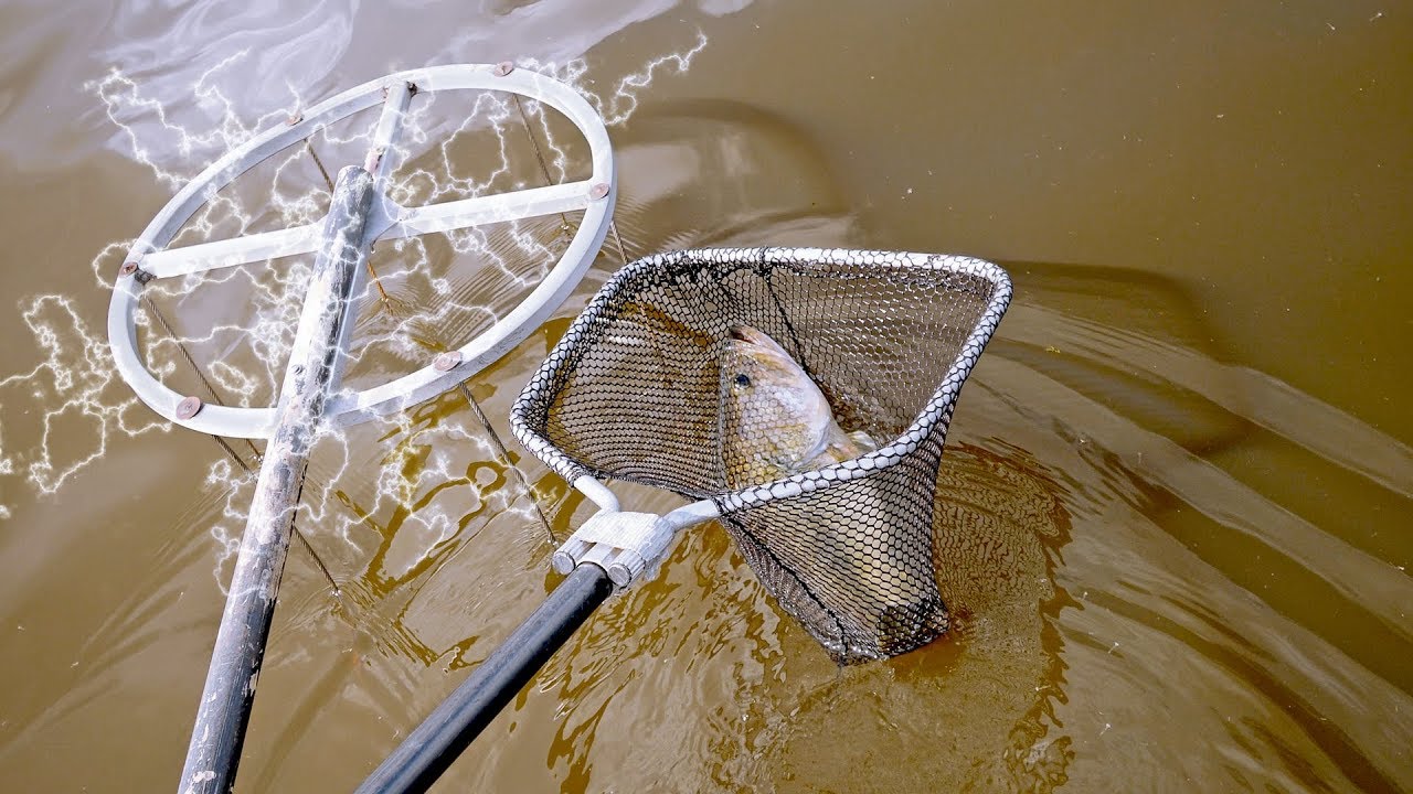 Using ELECTRICITY to Catch GIANT Fish