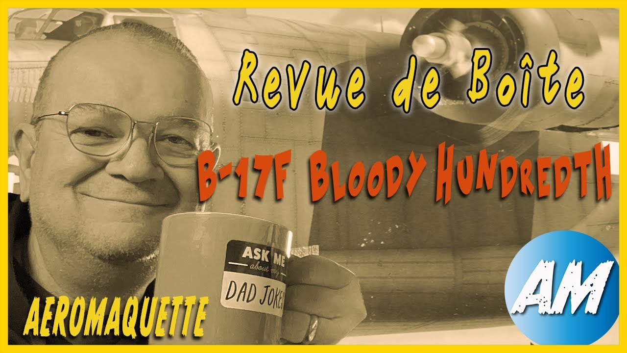 Revue De Boîte Eduard B 17F - The Bloody Hundredth 1943 -  Limited Edition