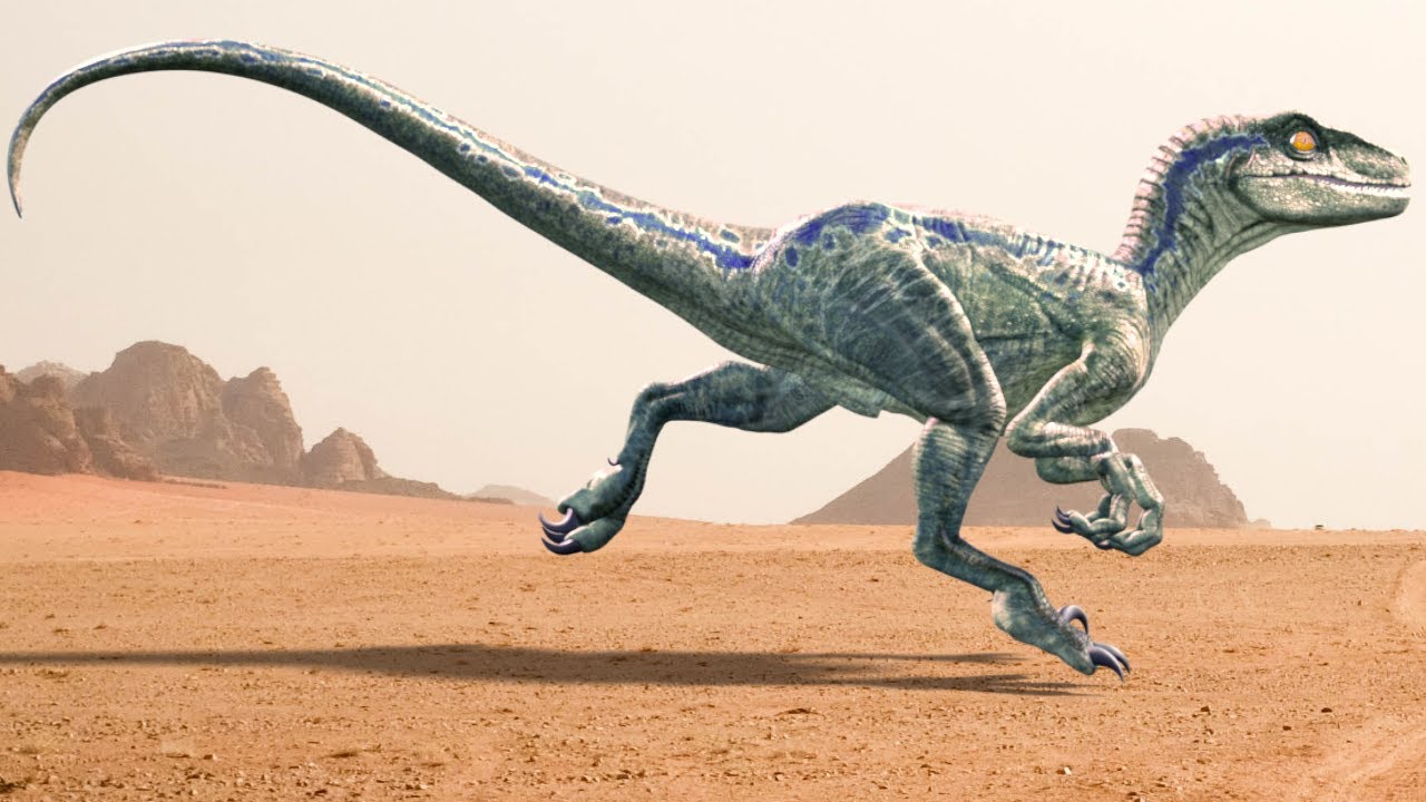 Velociraptor Running Animation  - [ Blue Raptor from Jurassic World ]