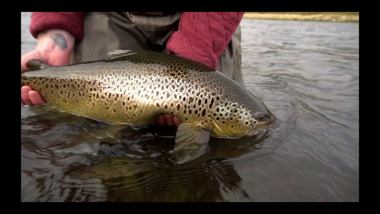 Villimenn - Laxárdalur (3-5.júní 2019)