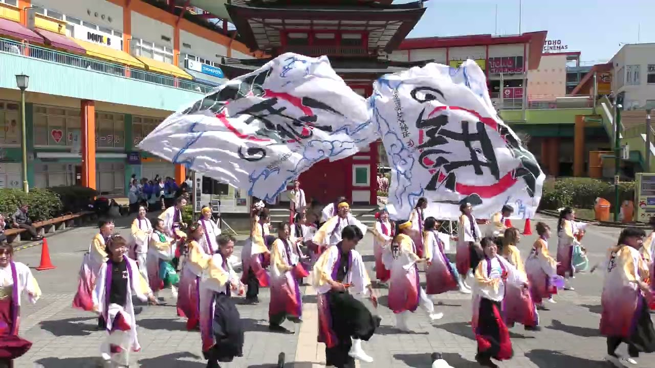 【4K】team IZUMO｜IZUMO(Ebinaよさこい 2025/七重の塔前ステージ 一部)